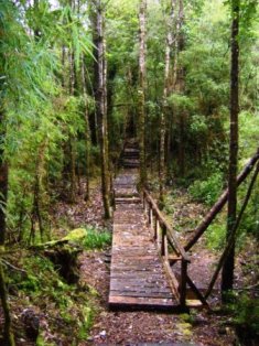 Parque Alerce Andino, National Parks in Chile