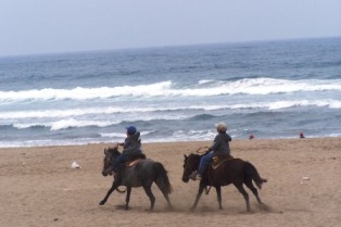 Pony Ridding Maitencillo Beach