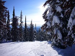 arbol skiing, skiing in chile