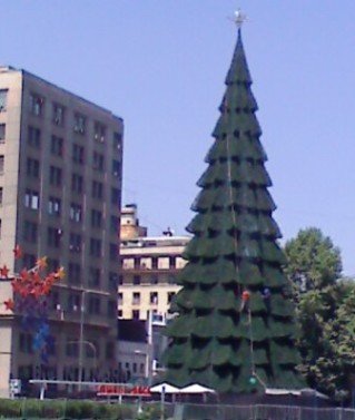 Christmas Tree In Santiago