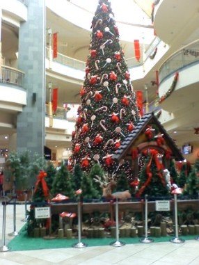 Arbol de Navidad, Navidad en Chile